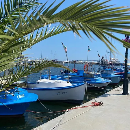 Appartement Fregata 2 *